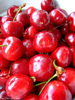 2008.08.04 - Cherries - DSCF2677