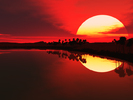 sun