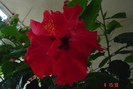 Picture 006