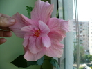 11 aug