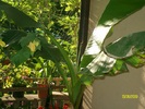 SANY3344