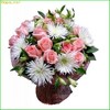 trandafiri_si_crizanteme_1237891952