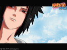 sasu love