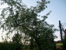 SANY7984
