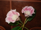 12.08.2010