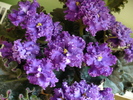 P1290523