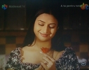 Divya cu tramdafirul de la Amar