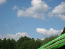 SL273754