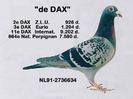 \'\' De Dax \'\' - Jan Theelen