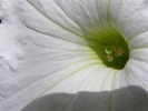 P7130240