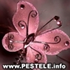 avatare poze roz avatare org j700 roz msi roz gloss roz