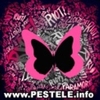 avatare poze roz avatare si mobile roz patera roz menage a roz