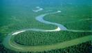 Amazonul,Brazilia1