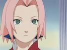 sakura haruno