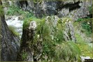 DSC08417