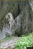 DSC08426