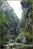 DSC08430
