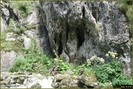 DSC08444
