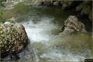 DSC08188