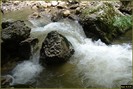 DSC08192