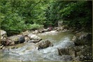 DSC08194