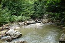 DSC08195