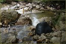 DSC08196