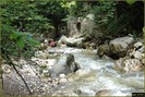 DSC08198