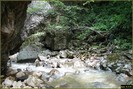 DSC08230