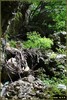 DSC08240