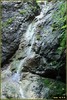 DSC08294