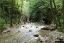 DSC08335
