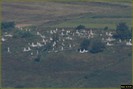 DSC07729