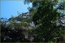 DSC07756
