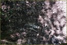 DSC07757