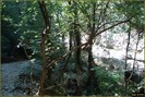 DSC07759