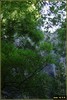 DSC07761