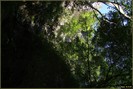 DSC07762
