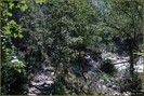 DSC07770