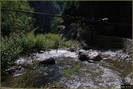 DSC07779
