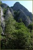 DSC07786