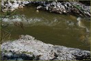 DSC07795