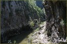 DSC07801