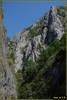 DSC07808