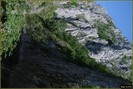 DSC07812