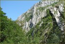 DSC07819