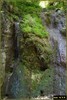 DSC07825