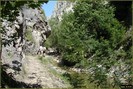 DSC07838