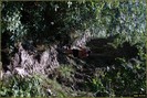 DSC07839
