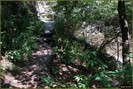DSC07843